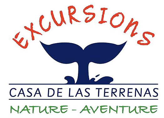 Las Terrenas Excursions