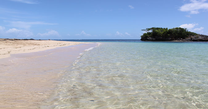 Excursions catamaran snorkeling las terrenas