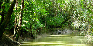excursions los haitises