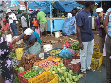 marche de samana